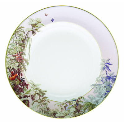 Le Brésil Porcelain China Platter