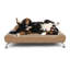 Lit orthopédique pour chien grand et très grand Club Nine-167753428