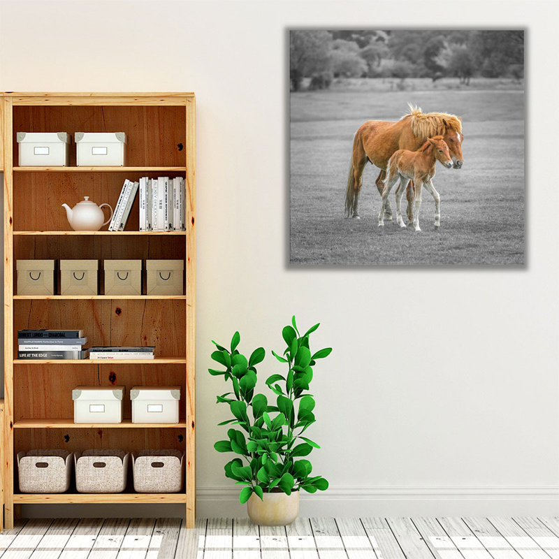 Cheval avec poulain - reproduction d'art sur toile, H 40 po x l 40 po