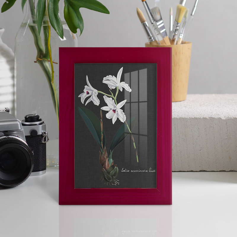 Orchidée sur ardoise V - reproduction de cadre photo simple, Rouge, H 6 po x l 4 po x P 1 po