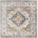 Machine Woven Blue/Brown/Grey Indoor Rug