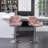 Breydon Swivel Upholstered Velvet Counter Stool-899955350