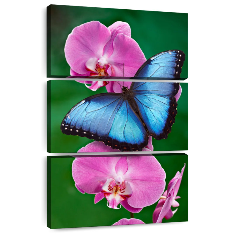 Ronce bleu Morpho sur orchidée rose, H 50 po x l 32 po