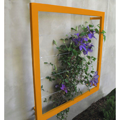 Durene 36'' H x 36'' W Steel Lattice Panel Trellis