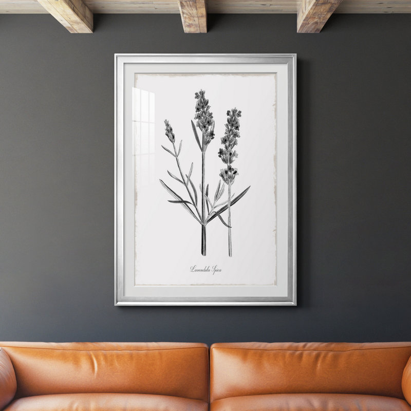 Simplement lavande - Cadre photo, reproduction d'art sur papier, Silver Framed Paper, H 26,5 po x l 36,5 po x P 1,5 po