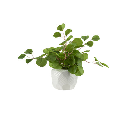 Faux Eucalyptus Plant in Ceramic Planter