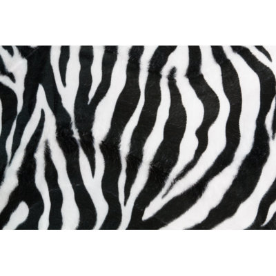 Noahalexander " Zebra Texture Background "