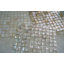 SeaTile 1" x 1" Seashell Grid Mosaic Wall & Floor Tile-36954043