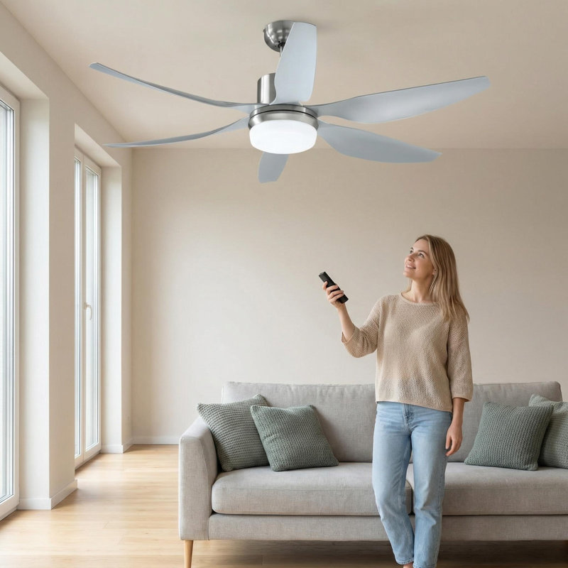 Ceiling Fan