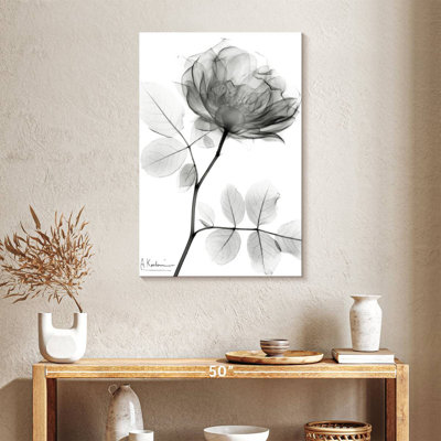 Harnek Rose Dynasty BW I
