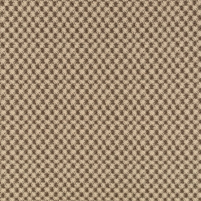 Tissu Rhapsody