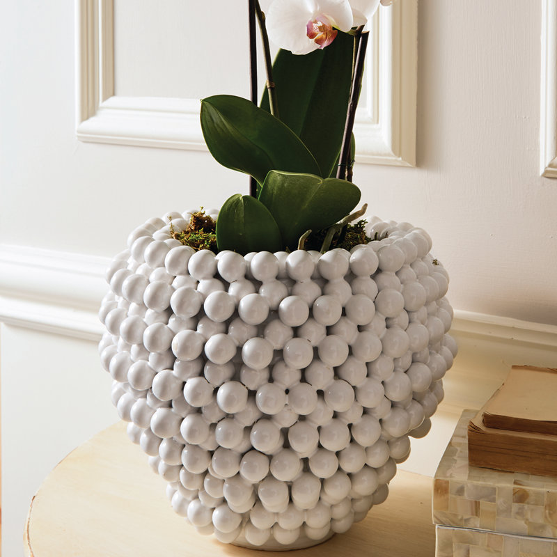 Sokolowski Ceramic Pot Planter