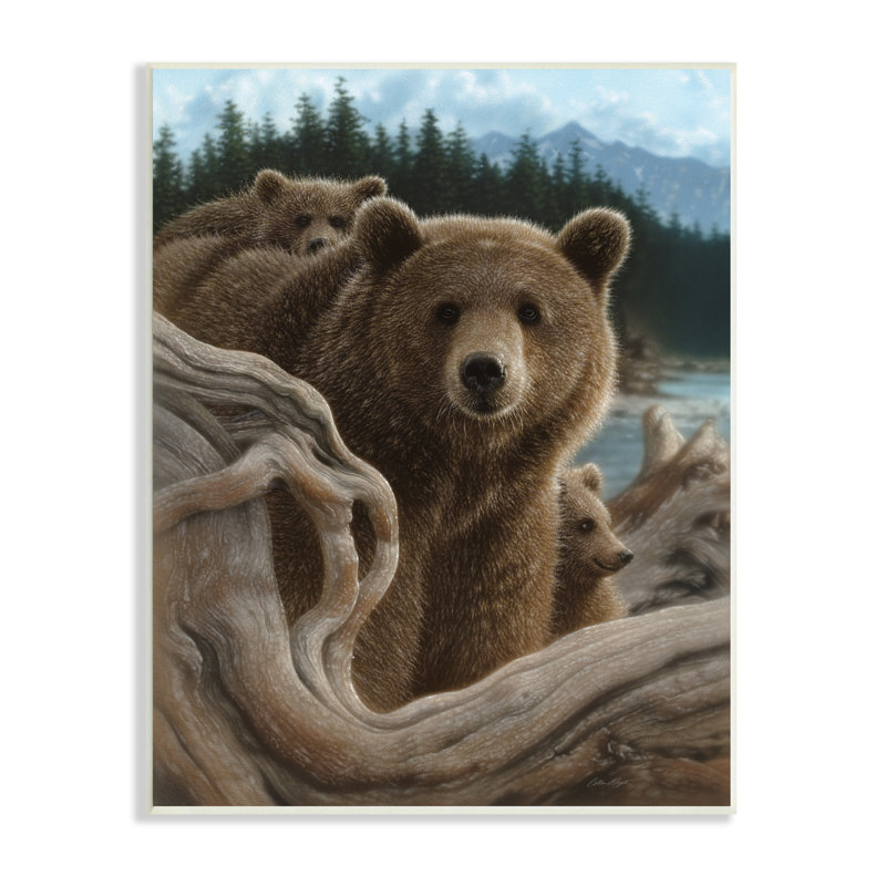 «30_Brown Bears Rustic Animal Family Tree Forest Lake tendue, art mural par Collin Bogle, H 15 po x l 10 po x P 0,5 po