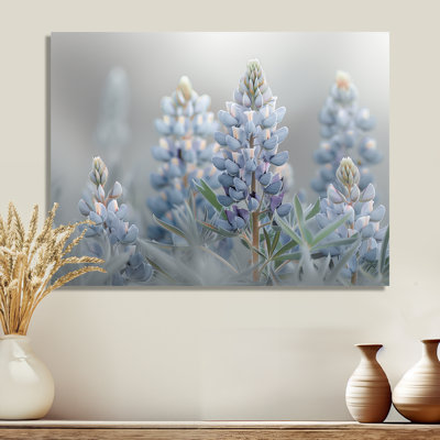 Liddel - Blue Bonnets Wall Art Print
