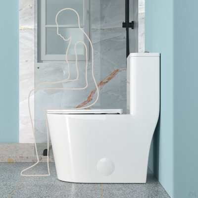 Ceramic One Piece Toilet For Bathroom, 12-Inch Rough-In, 1.1/1.6 GPF, Dual Flush With Soft Clsoing Seat, Powerful Dual Flush MAP 800G
