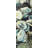 Oyster Shells - Brown Marine Framed Matted Print for Decor