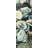 Oyster Shells Print On Canvas