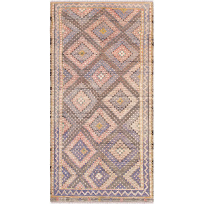 Oriental Indoor Rug