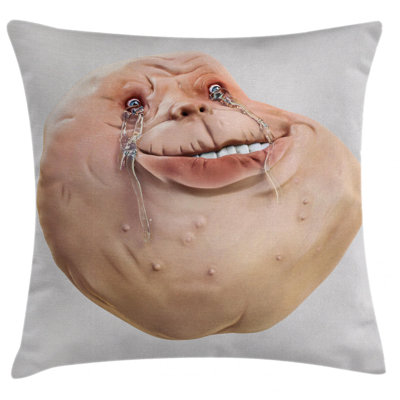 Outdoor Pillow Cover