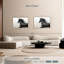 Cheval frison noir-1639501355-1639501358