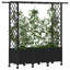 Raised Garden Bed-1664827288-1664827294