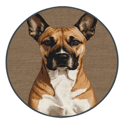  Tapis lavable pour chien Podengo