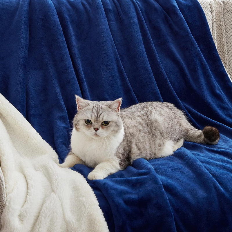 Throw Blanket