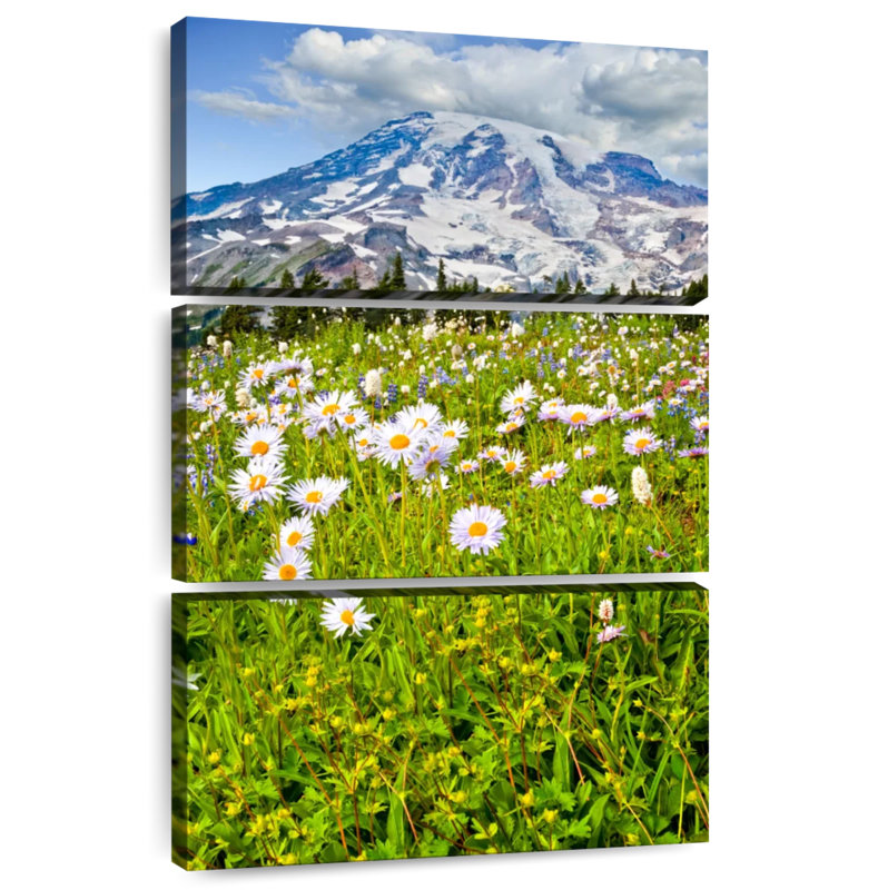Alvord Mount Rainier Meadow, 65" H x 42" W