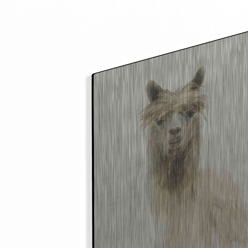 «Classic Llamas I» par Danhui Nai, H 16 po x l 12 po