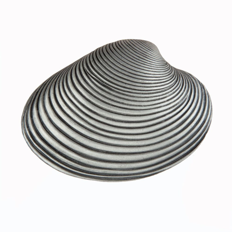 Poignée d'armoire Clam Shell, Étain antique