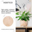 Wood Pot Planter-92659195