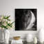 Tuxedo Moon IV Print by Chelsea Art Studio-26928127-26928128