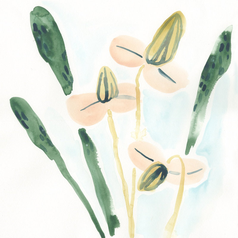 " Garden Essence I " by June Erica Vess, 20" H x 20" W x 1.25" D