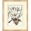 Summer Bird 7 Print