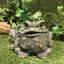 Statue de jardin classique "Lou" Toad Hollow-801408084