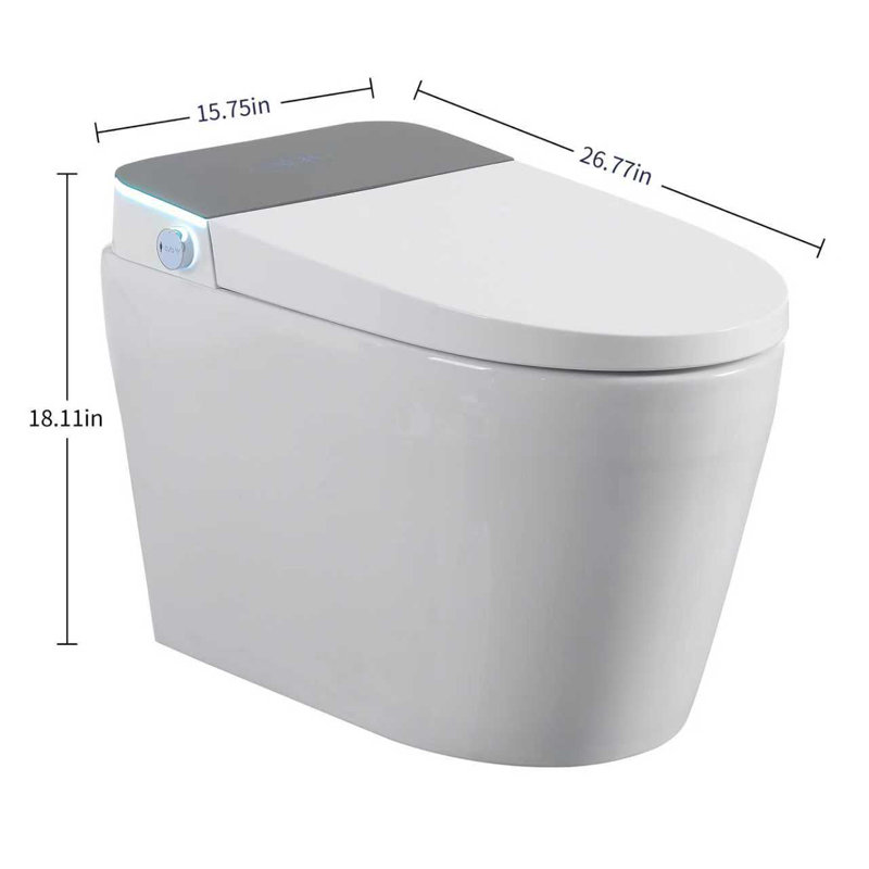 Tankless Smart Toilet With Bidet Built In, One-piece Bidet Toilet Seat, Auto Flush, Auto Open/close,heated Seat, Warm Water And Dry, Adjustable Temp,remote Control Side Know
