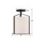 Fleetwood 1 Light Black Ceiling Mount