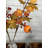 Silk Primrue Stems, Bushes, and Sprays Arrangement