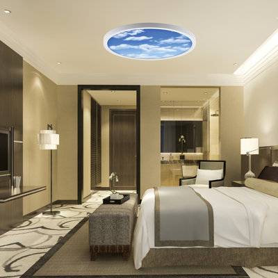 Daysia Surface mounted SKY LED Ceiling Light, 2D Printed SKY Light Shade 24W, 6500K, IP20