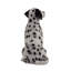 Statue pour chien assis dalmatien