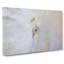 White Peacock In Abstract - Wrapped Canvas-55299418