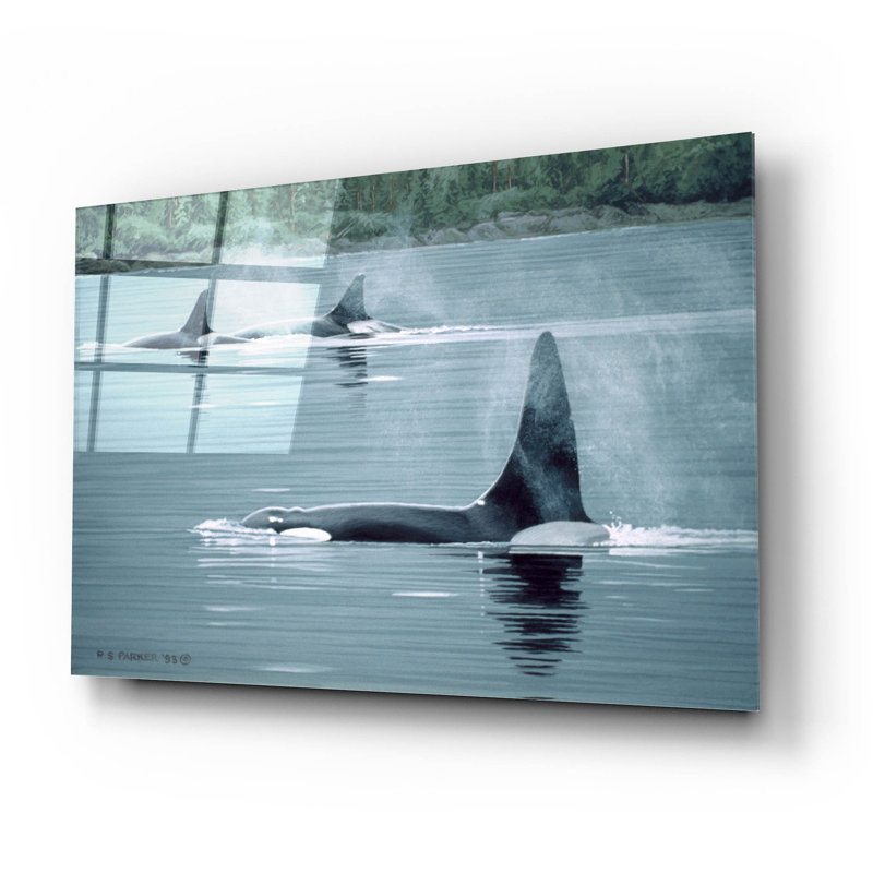 "Orques" par Ron Parker, H 16 po x l 24 po x P 0,2 po
