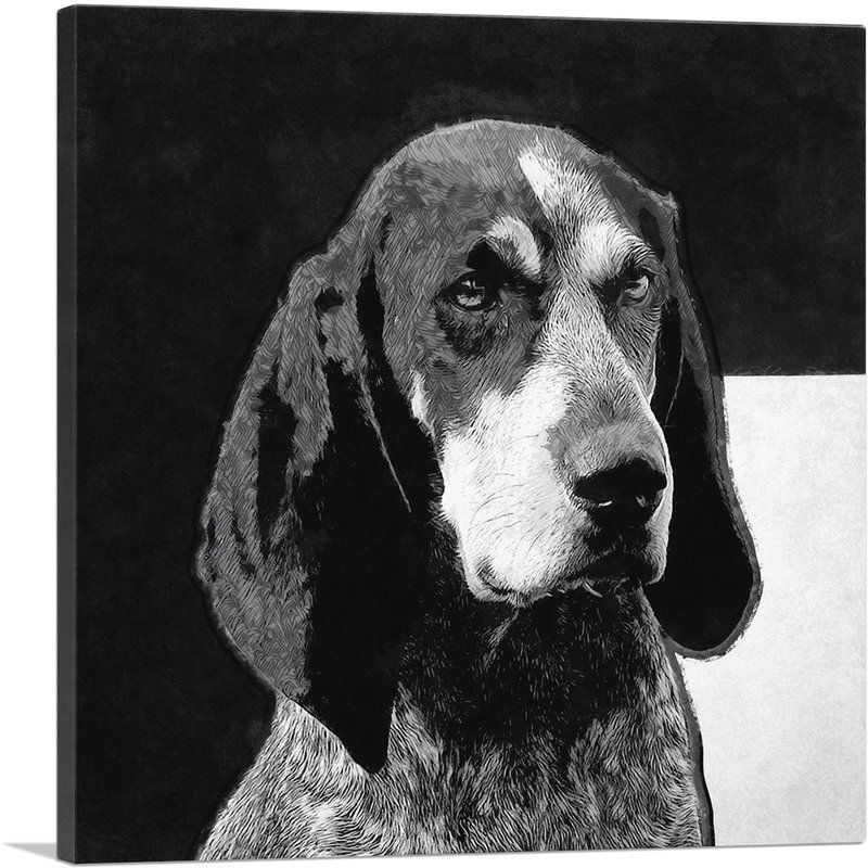 «Bluetick Coonhound Dog Breed», reproduction d'art sur toile tendue, H 26 po x l 26 po x P 0,75 po