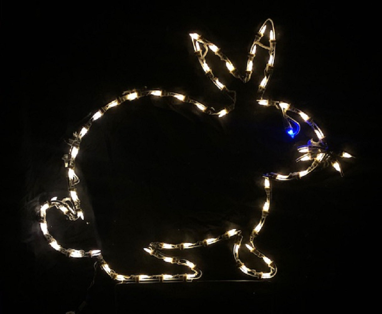 Lori's Lighted D'Lites Easter Rabbit Holiday Lighted Display - Wayfair ...