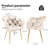 Modern Velvet Upholstered Kitchen Chairs Dining Chairs Set of 2-184720969