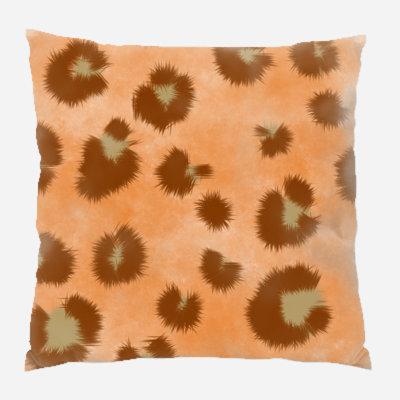 Coussin décoratif transparent