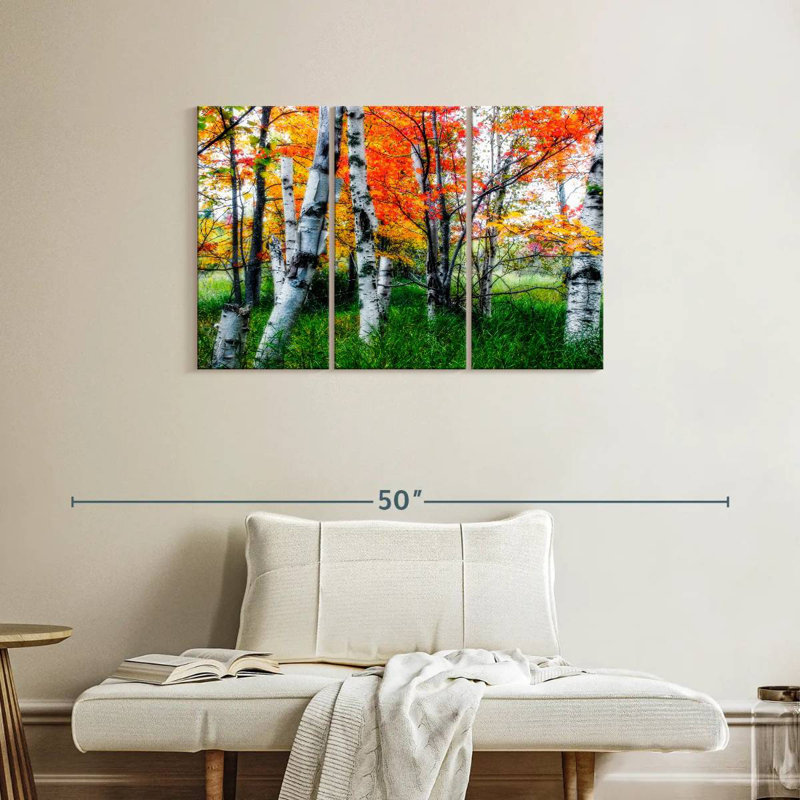 Alvord Birch Trees In Diffused Light During Fall, 24" H x 38" W