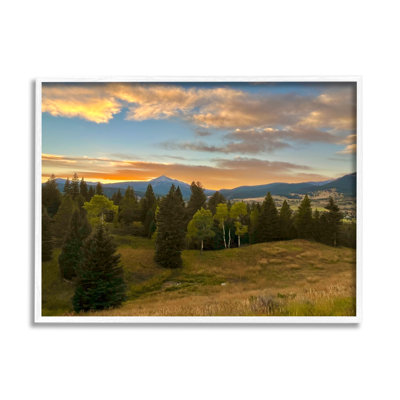 «Montana Sunset Forest Clearing» par Emily Navas - photographie à cadre flottant sur bois
