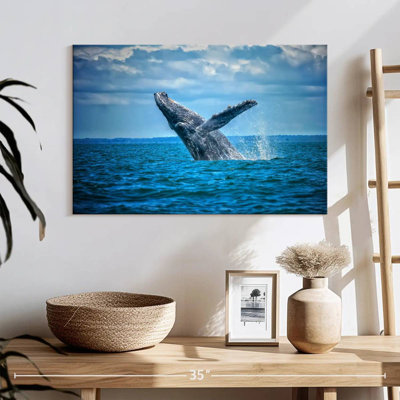 Pacific Humpback Whale