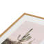 Cactus rose pastel encadré sur papier-556418214-556418217